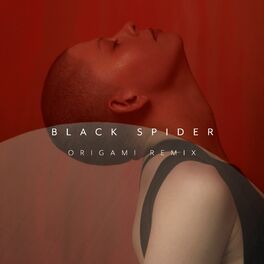 Album cover of Black Spider (Origami Remix)