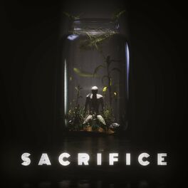 Album cover of Sacrifice (ST Mix)