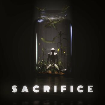 Letra Sacrifice