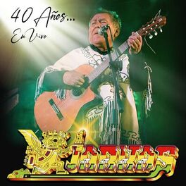 Album cover of 40 Años... (2012 En Vivo)