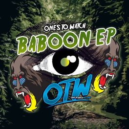 Album cover of Baboon EP