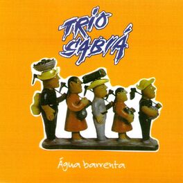 Album cover of Água Barrenta