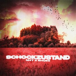 Album cover of Schockzustand