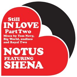 Album cover of Still in Love (Pt. 2)