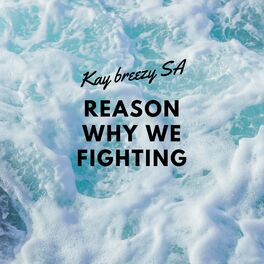 Album cover of Reason why we fighting