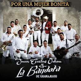 Album cover of Por una Mujer Bonita