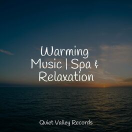 Album cover of Warming Music | Spa & Relaxation