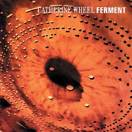 Album cover of Ferment