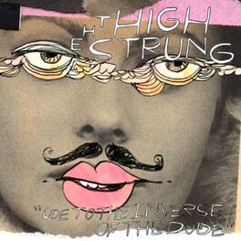 Album cover of Ode to the Inverse of the Dude