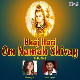Album cover of Bhaj Hari Om Namah Shivay (Shiv Bhajan)