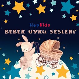 Album cover of Bebek Uyku Sesleri