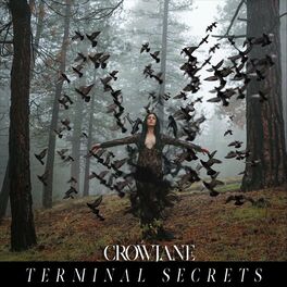 Album cover of Terminal Secrets