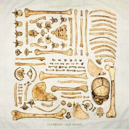 Album cover of Old Bones
