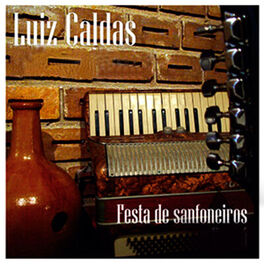 Album cover of Festa de Sanfoneiros