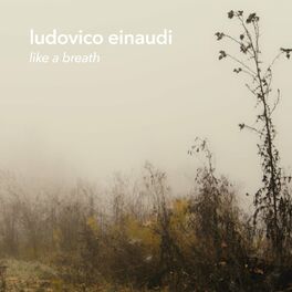Album cover of Like A Breath