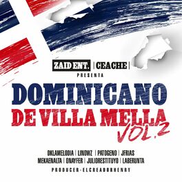 Album cover of Dominicano De Villa Mella 2.0 (feat. Dk La Melodía, Linowz, Onayfer, Meka en Alta, Patogeno Musa, Julio Restituyo, La Berunta & J 