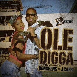 Album cover of Ole Digga