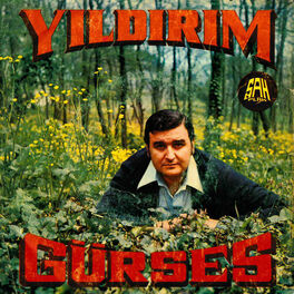 Album cover of Hüsran / Gurbette Giden Yollar