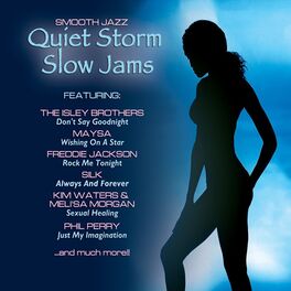 Album cover of Quiet Storm Slow Jams