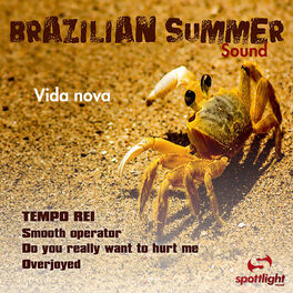 Album cover of Brazilian Summer Sound