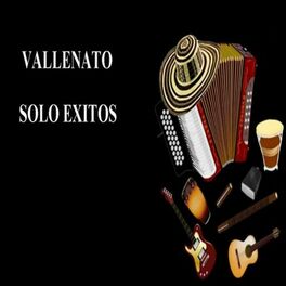 Album cover of Vallenato Solo Exitos