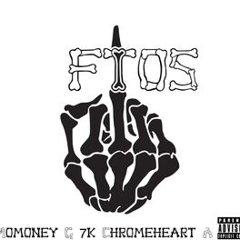 Album cover of FTOS (feat. 7k & Chromeheart.A)