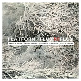 Album cover of Flux Reflux