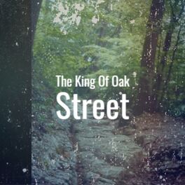 Album cover of The King of Oak Street