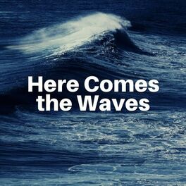 Album cover of Here Comes the Waves