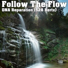 Album cover of DNA Reparation (528 Hertz)
