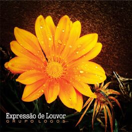 Album cover of Expressão de Louvor
