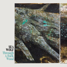 Album cover of Through A Dark Wood