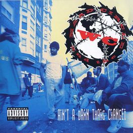 Album cover of Ain't A Damn Thang Changed
