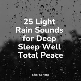 Album cover of 25 Light Rain Sounds for Deep Sleep Well Total Peace