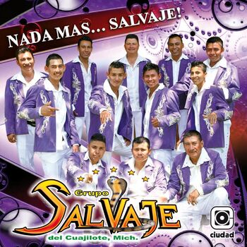 Grupo Salvaje del Cuajilote Mich. - La Segunda de las Medias Negras: listen  with lyrics | Deezer