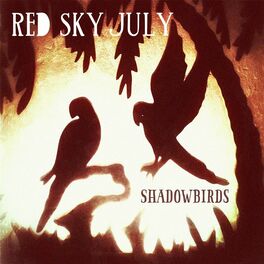 Album cover of Shadowbirds