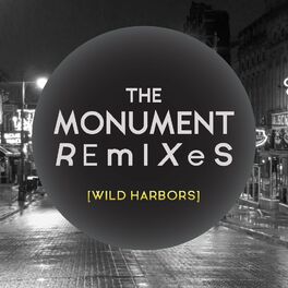 Album cover of Monument Remixes