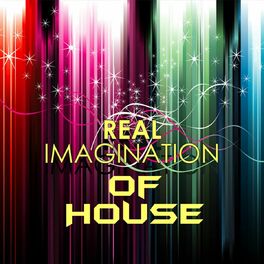 Album cover of Real Imagination of House