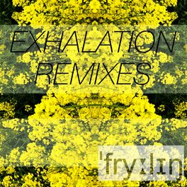 Album cover of Exhalation Remixes