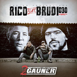 Album cover of 2 Gauner (feat. Brudi030)