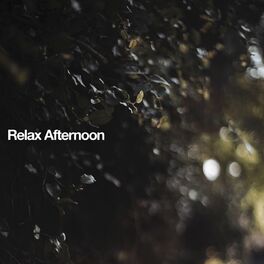 Album cover of Relax Afternoon