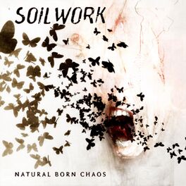 Album cover of Natural Born Chaos
