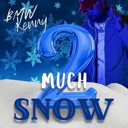 Album cover of 2 Much Snow