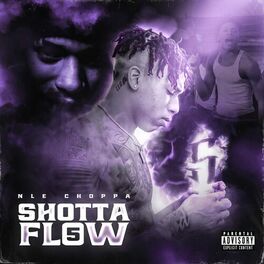 Album cover of Shotta Flow 5