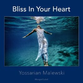Album cover of Bliss in Your Heart