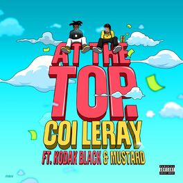 Album cover of At The Top