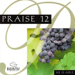 Album cover of Praise 12 - He Is Able