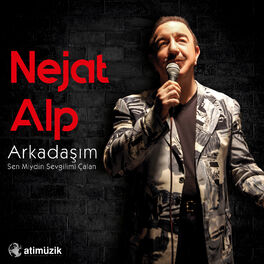 Album cover of Arkadaşım / Sen Miydin Sevgilimi Çalan