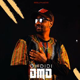 Album cover of DMD