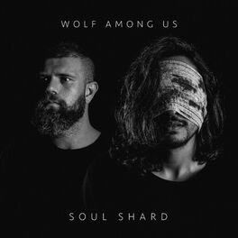 Album cover of Soul Shard